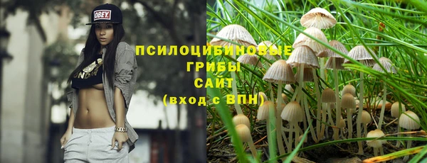 спиды Алексеевка