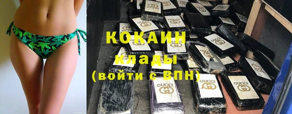 Альфа ПВП Аркадак