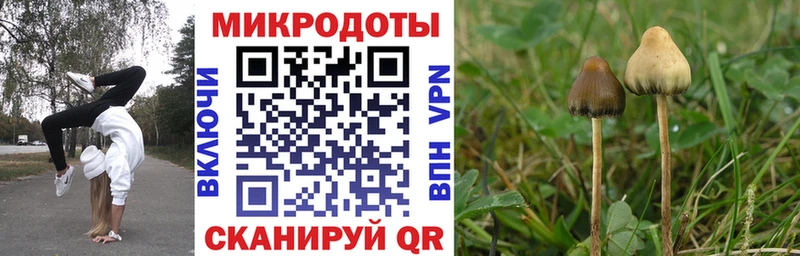 где купить   гидра сайт  Галлюциногенные грибы Cubensis  Полысаево 